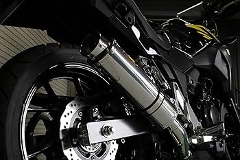 Realize スズキ Vストローム250 AriaスラッシュTypeS Amazon | Realize (リアライズ) スズキ Vストローム250/ABS (2BK